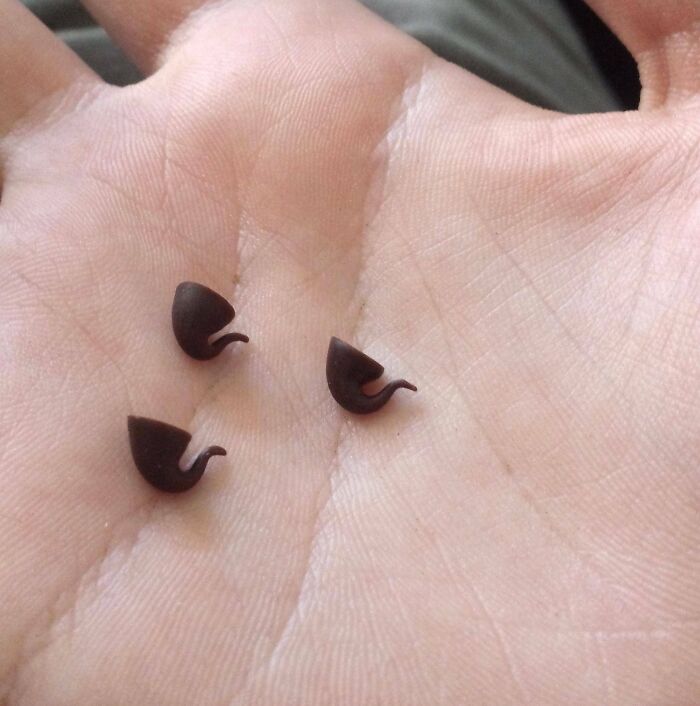 Chispas de chocolate que parecen pequeñas pipas