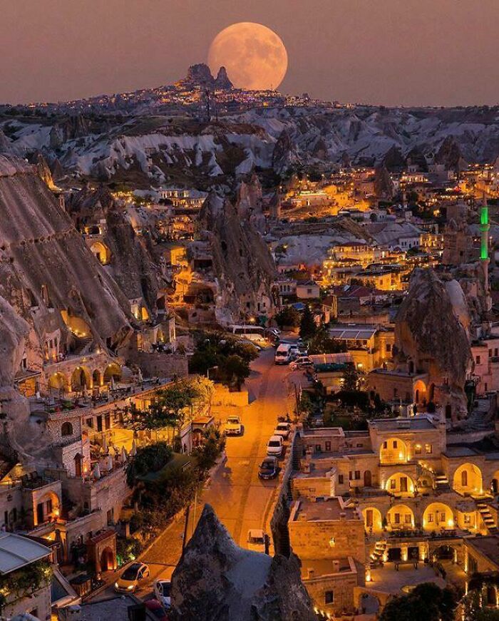 38 попугаев книга. не думаю будем знакомы. аудиосказка. григорий остер. сказки г.