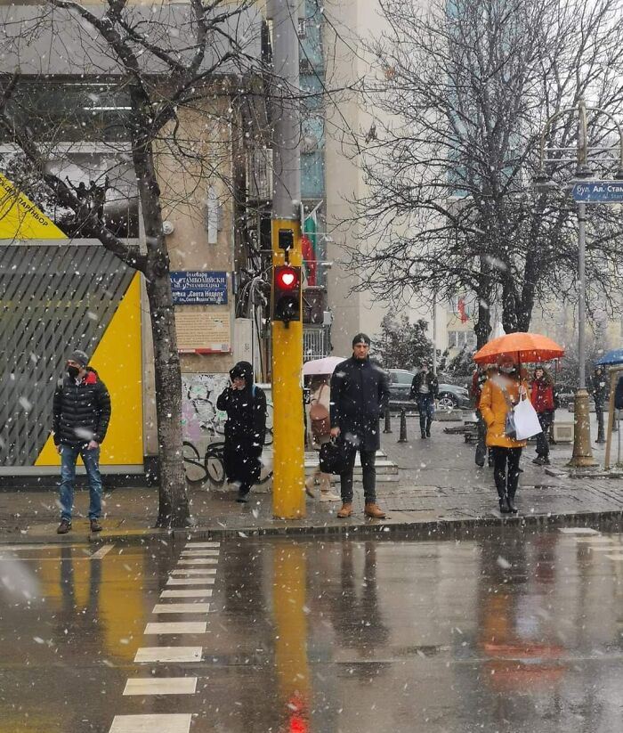 Happy Valentine's Day (Or As Bulgarians Celebrate It - Wine Day) From These Sofia Traffic Lights