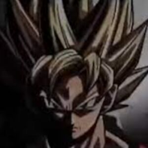 joaovictorcastrodossantos avatar