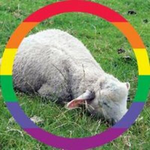 andreas_heinrich77 avatar