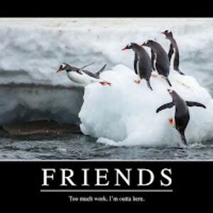 doomedtowitness avatar