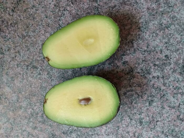 My Avocado This Morning Was A Treat