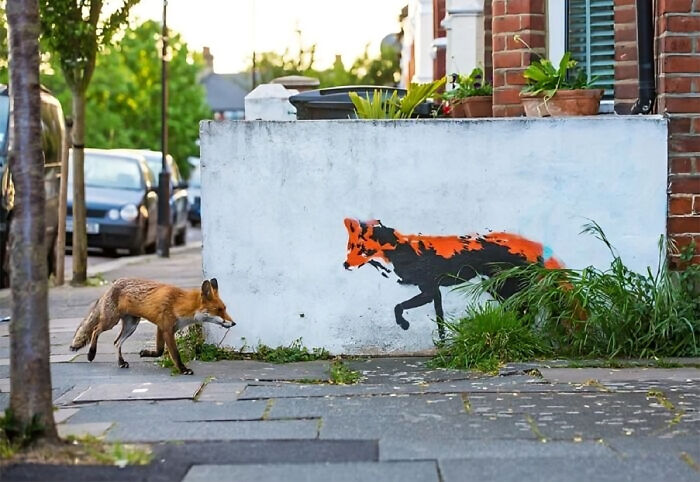 Fox Meets Fox Mural In London (Photo: Matthew Maran)