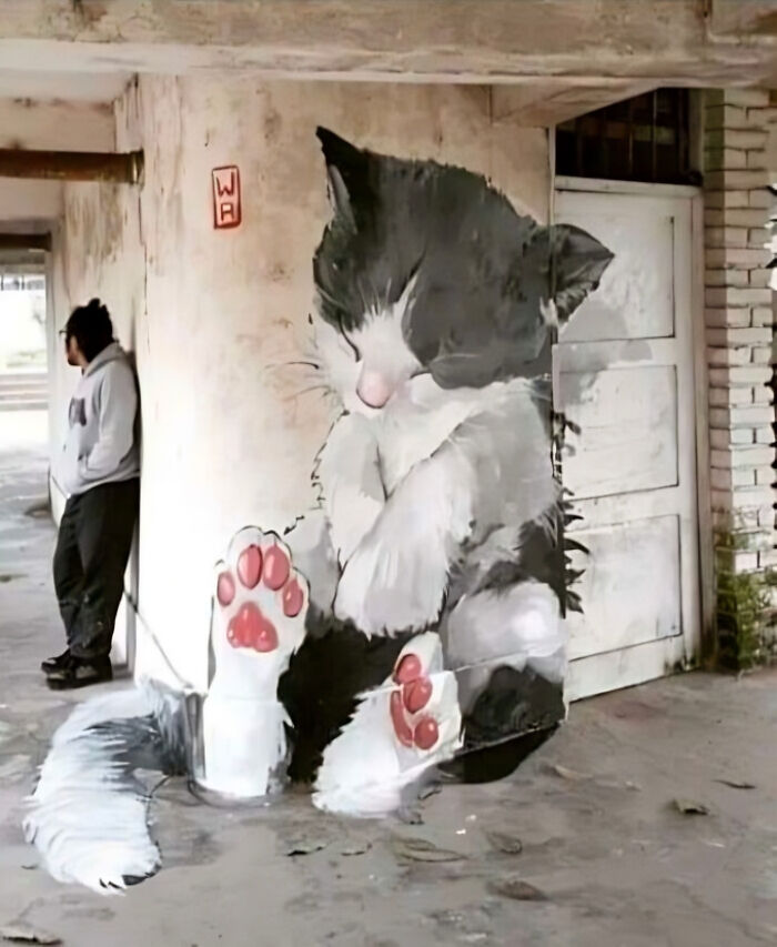 Big Paws Kitten Street Art