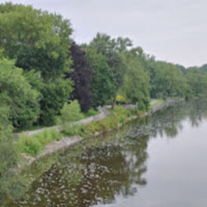 armanddesillegue avatar