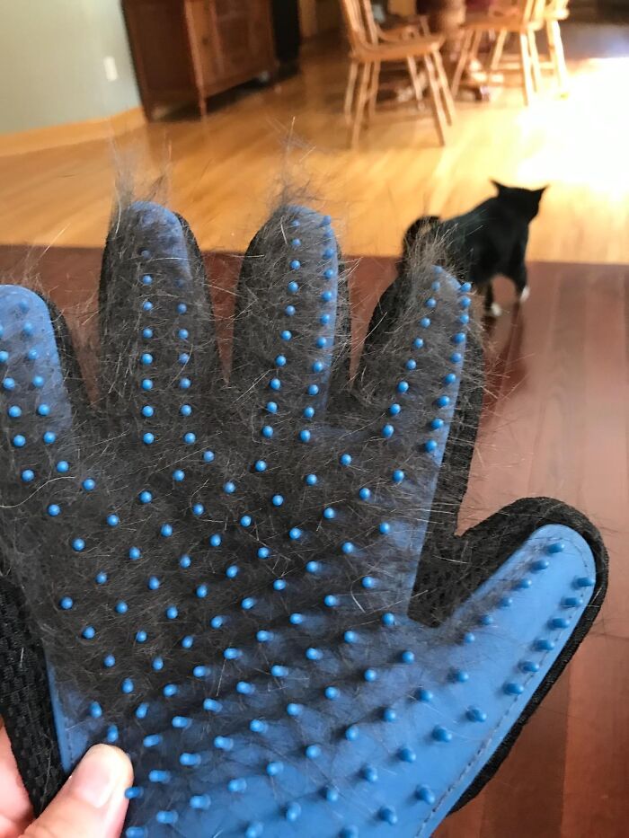 Best Friend Rub grooming glove