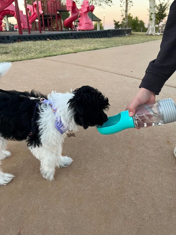 Compra este dispensador de agua para perros portátil y mantén el cuenco de agua de tu peludo lleno