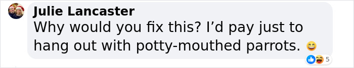 Rude Parrots That Can’t Stop Swearing Are In The Process Of Being Rehabilitated With New Flock Rude Parrots That Can’t Stop Swearing Are In The Process Of Being Rehabilitated With New Flock