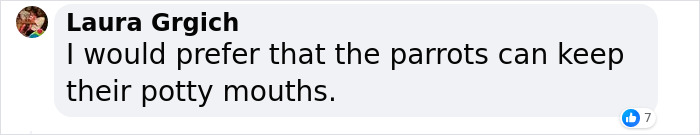 Rude Parrots That Can’t Stop Swearing Are In The Process Of Being Rehabilitated With New Flock Rude Parrots That Can’t Stop Swearing Are In The Process Of Being Rehabilitated With New Flock