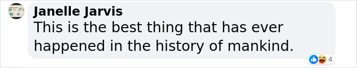 Rude Parrots That Can’t Stop Swearing Are In The Process Of Being Rehabilitated With New Flock Rude Parrots That Can’t Stop Swearing Are In The Process Of Being Rehabilitated With New Flock