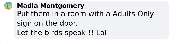 Rude Parrots That Can’t Stop Swearing Are In The Process Of Being Rehabilitated With New Flock Rude Parrots That Can’t Stop Swearing Are In The Process Of Being Rehabilitated With New Flock