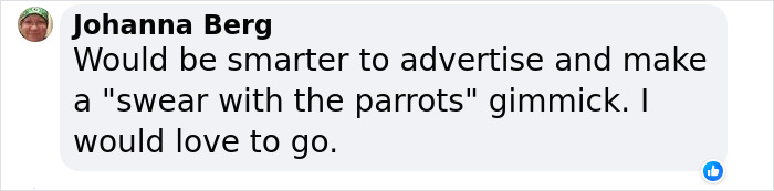 Rude Parrots That Can’t Stop Swearing Are In The Process Of Being Rehabilitated With New Flock Rude Parrots That Can’t Stop Swearing Are In The Process Of Being Rehabilitated With New Flock