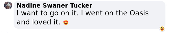 “Icon Of The Seas Is Crazy”: The World’s Largest Cruise Ship Leaves People Flabbergasted “Icon Of The Seas Is Crazy”: The World’s Largest Cruise Ship Leaves People Flabbergasted