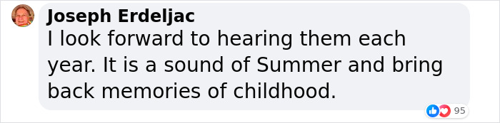 “Earplugs Will Be In Demand”: 2 Broods Of Cicada Will Emerge For The First Time In 221 Years “Earplugs Will Be In Demand”: 2 Broods Of Cicada Will Emerge For The First Time In 221 Years