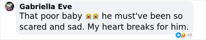 “I Can’t Believe It”: Grieving Mother Blames Social Services’ Negligence For Toddler Tragedy “I Can’t Believe It”: Grieving Mother Blames Social Services’ Negligence For Toddler Tragedy