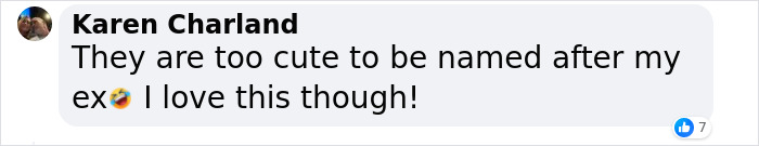 “Some Things Shouldn’t Breed”: Animal Shelter Promotes A Hilarious Valentine’s Day Campaign “Some Things Shouldn’t Breed”: Animal Shelter Promotes A Hilarious Valentine’s Day Campaign