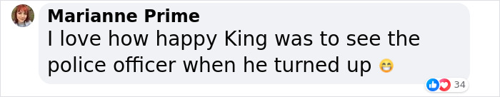 Police Makes “The Cutest Arrest Ever” After Dog Escapes Shelter And Tries To Free His Friends Police Makes “The Cutest Arrest Ever” After Dog Escapes Shelter And Tries To Free His Friends