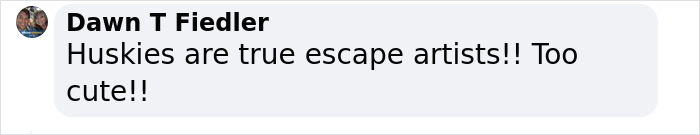 Police Makes “The Cutest Arrest Ever” After Dog Escapes Shelter And Tries To Free His Friends Police Makes “The Cutest Arrest Ever” After Dog Escapes Shelter And Tries To Free His Friends