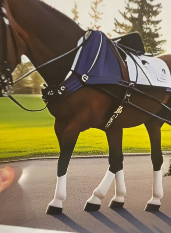 Woman Thinks She Bought A Simple Horse Calendar, Starts Noticing Odd Things Pop Up Woman Thinks She Bought A Simple Horse Calendar, Starts Noticing Odd Things Pop Up