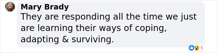 “Amazing” Video Of Plants Talking Has Social Media Reconsidering How They Thought About Life “Amazing” Video Of Plants Talking Has Social Media Reconsidering How They Thought About Life