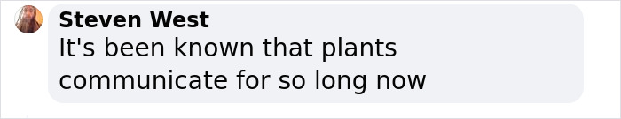 “Amazing” Video Of Plants Talking Has Social Media Reconsidering How They Thought About Life “Amazing” Video Of Plants Talking Has Social Media Reconsidering How They Thought About Life