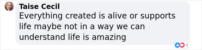 “Amazing” Video Of Plants Talking Has Social Media Reconsidering How They Thought About Life “Amazing” Video Of Plants Talking Has Social Media Reconsidering How They Thought About Life