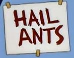 ANTS-659ec8a1b992f.jpg