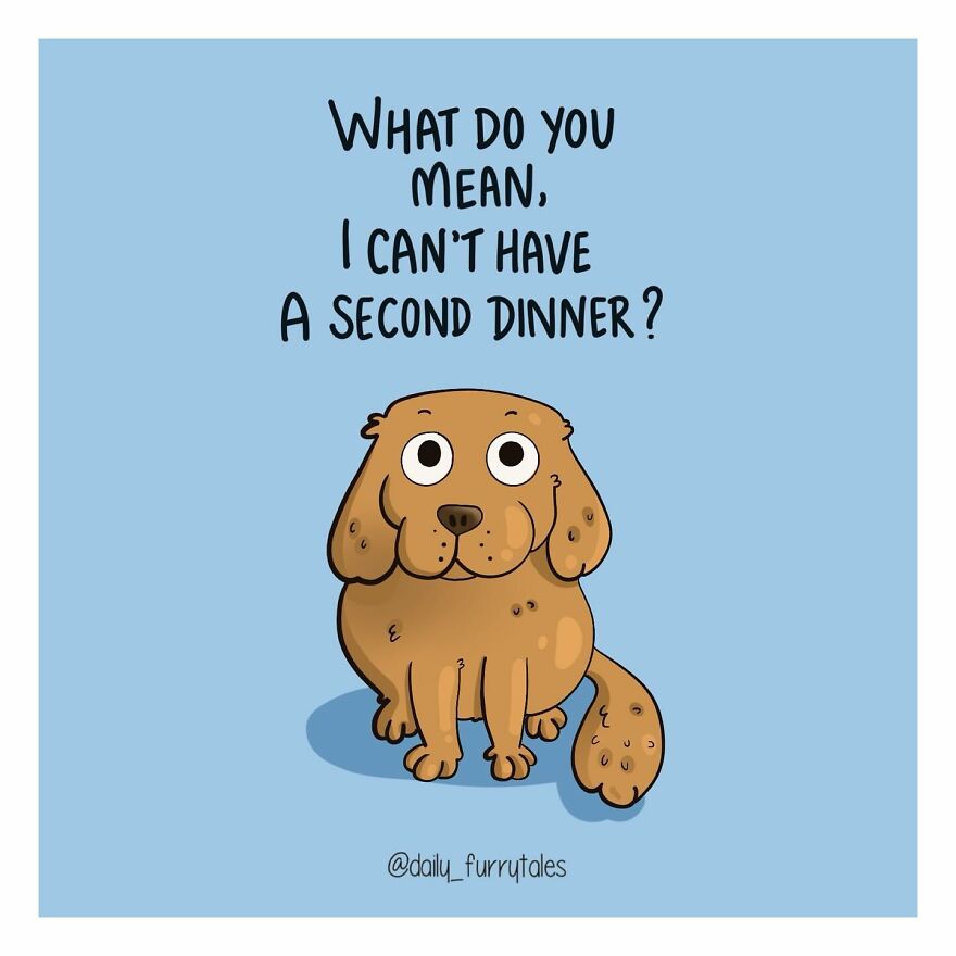 Artist Creates Comics That Explore The Unique Bond Between Humans And Their Furry Companions
