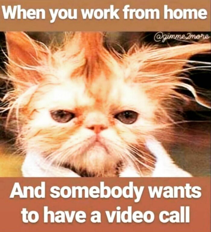 Funny-Work-From-Home-Memes