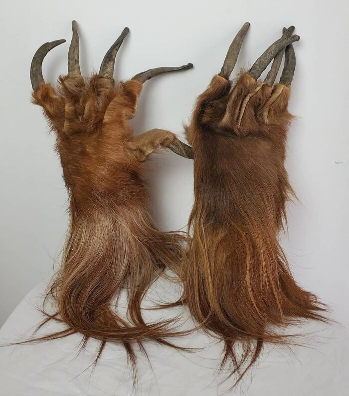 These Amazing Vintage Krampus Claws Come From A Small Town In Austria, And Were Used At An Annual Krampus Festival For Approximately 70 Years