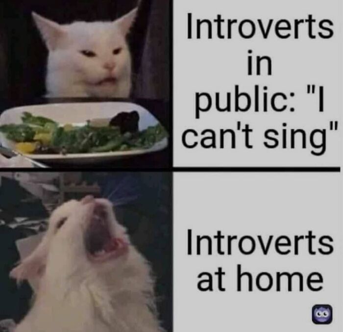 Funny-Relatable-Introverts-Memes