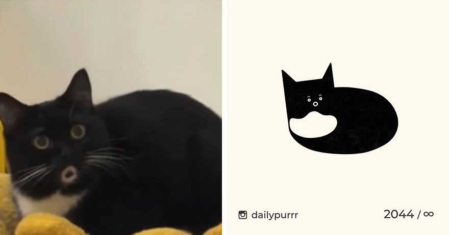 Cats By Daily Purrr (New Pics)
