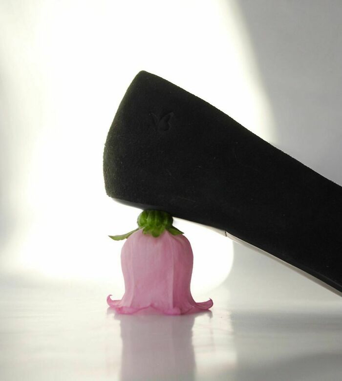 Nonsense-Fashion-Pics