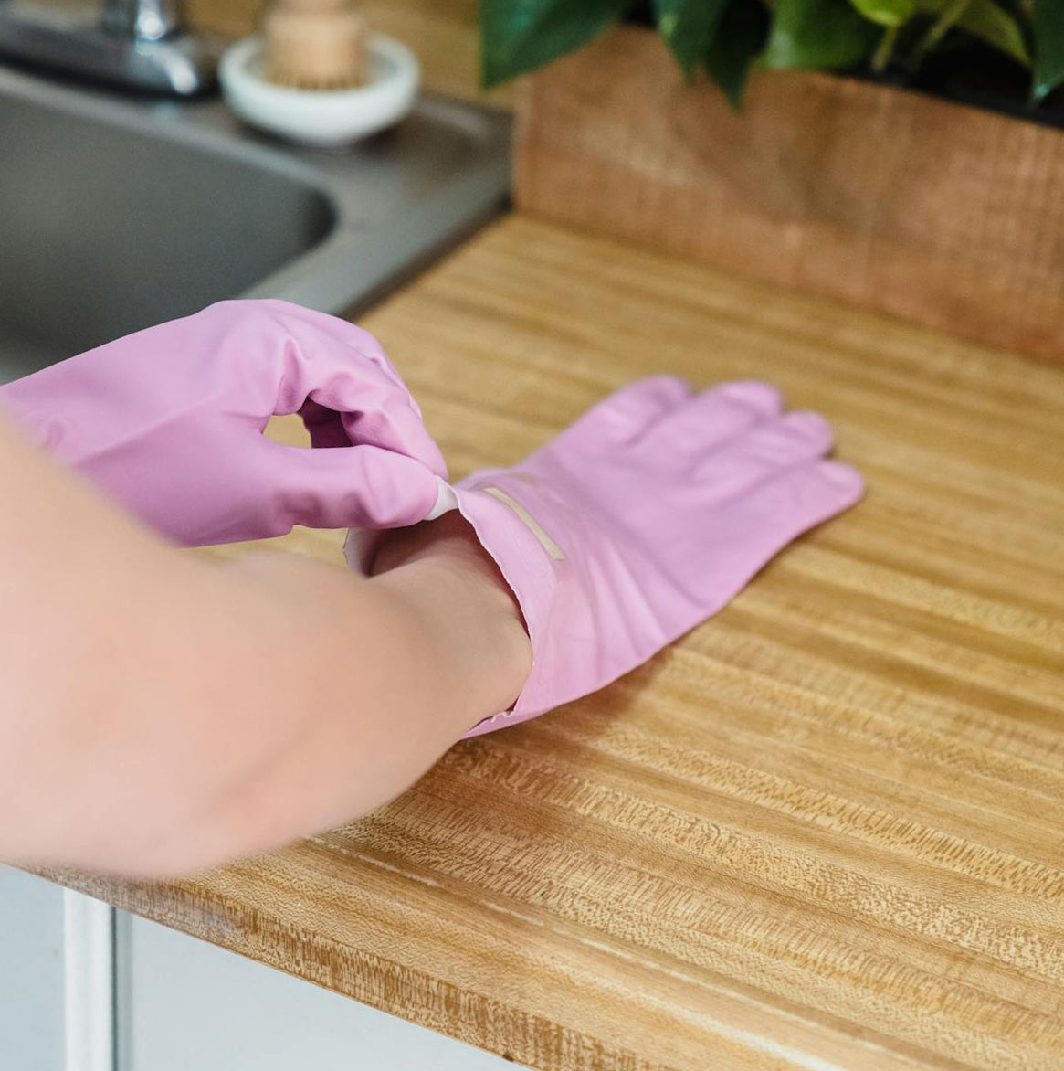 Hands with pink rubber gloves preparing to clean light wood laminate countertop