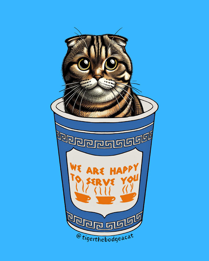 We Capture The Essence Of NYC Through Cute And Funny Photos Of Bodega Cats We Capture The Essence Of NYC Through Cute And Funny Photos Of Bodega Cats