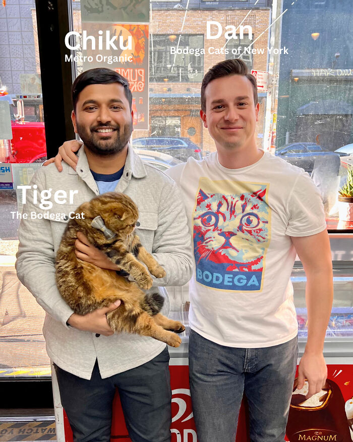 We Capture The Essence Of NYC Through Cute And Funny Photos Of Bodega Cats We Capture The Essence Of NYC Through Cute And Funny Photos Of Bodega Cats