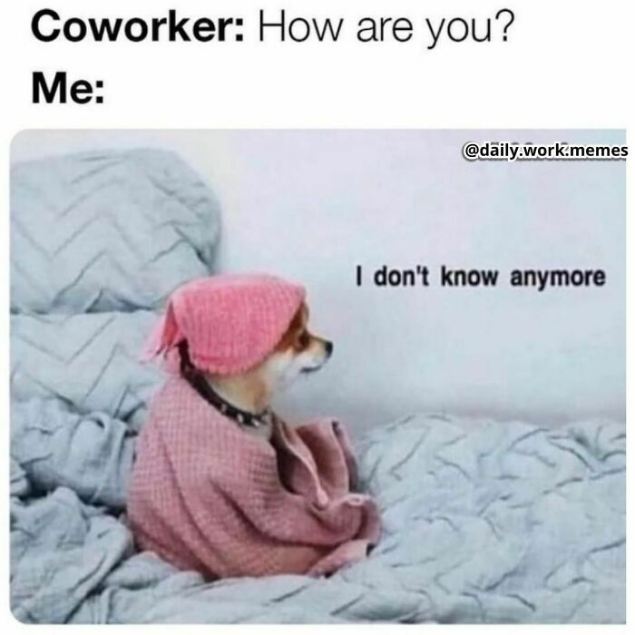 Funny-Daily-Work-Memes