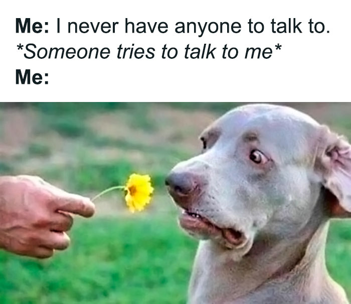 Funny-Relatable-Introverts-Memes