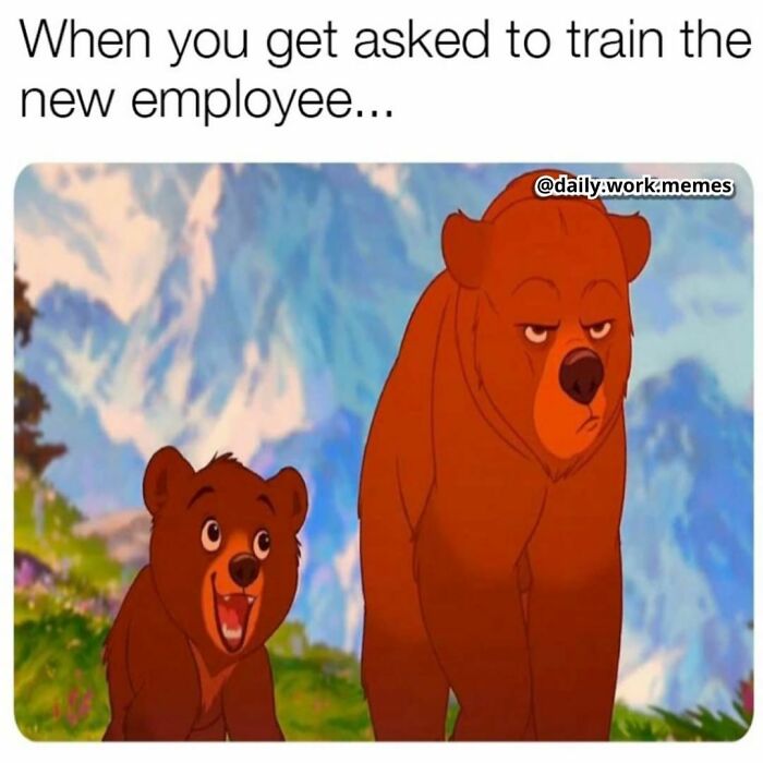 Funny-Daily-Work-Memes