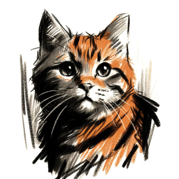 We Capture The Essence Of NYC Through Cute And Funny Photos Of Bodega Cats We Capture The Essence Of NYC Through Cute And Funny Photos Of Bodega Cats