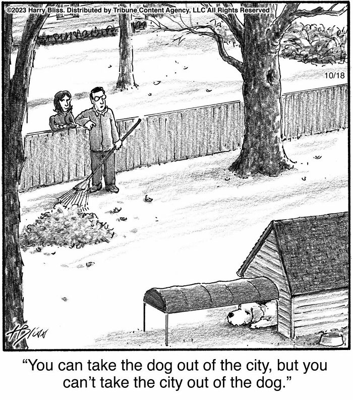 Funny New One-Panel Comics From New York Cartoonist Harry Bliss
