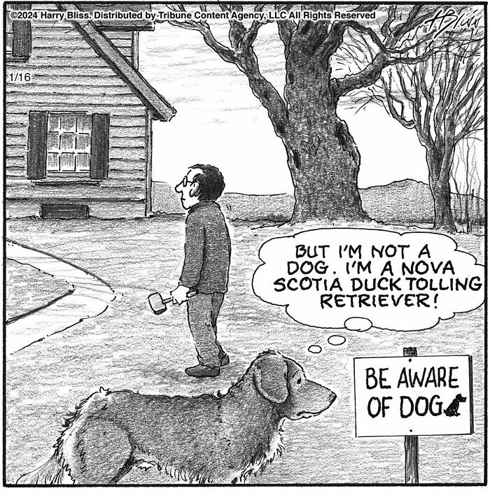 Funny New One-Panel Comics From New York Cartoonist Harry Bliss