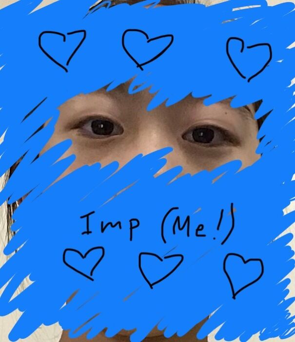 Sorry Bad Image Quality