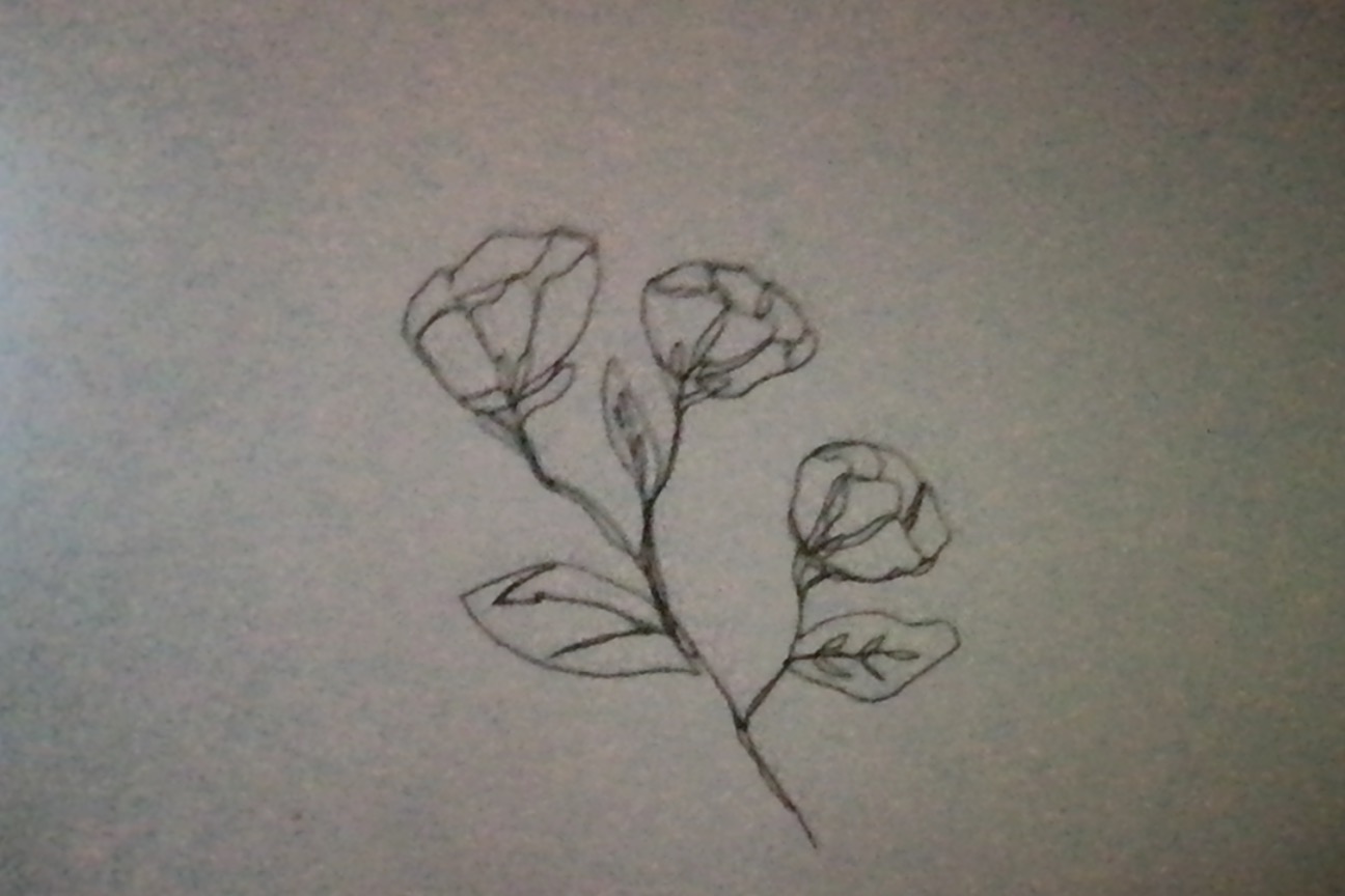 Hey Pandas, Show Us The Last Thing You Drew!