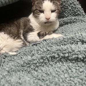 brenda_moeller avatar