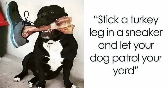 40 More Memes For Anyones Entertainment