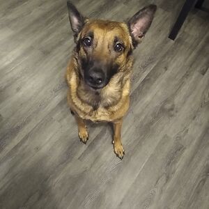 iriana-b-baker avatar