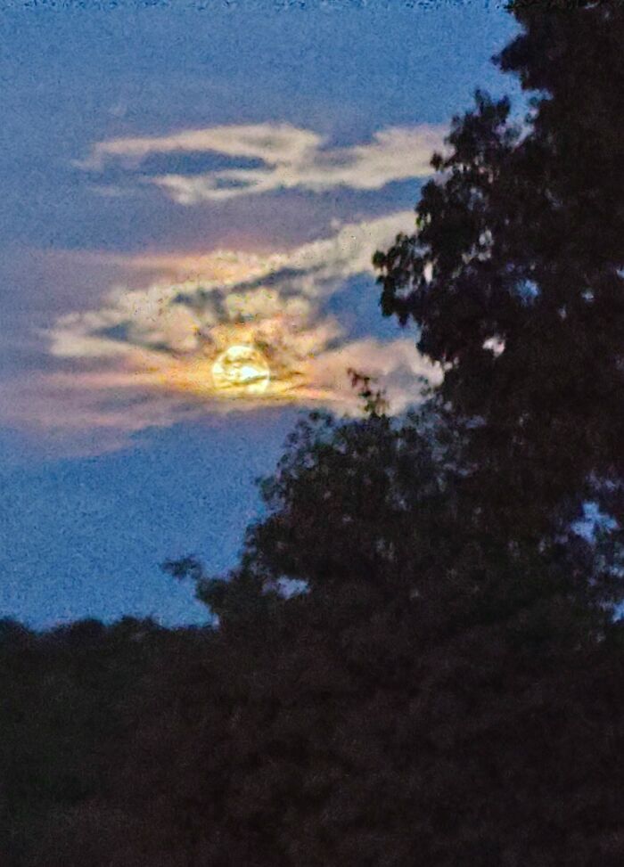 The Last Super Moon Lighting Up The Night Sky