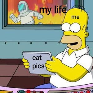 suzanneashraf avatar